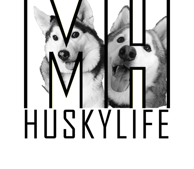 Launching our first Breed Collection - MH Husky Life