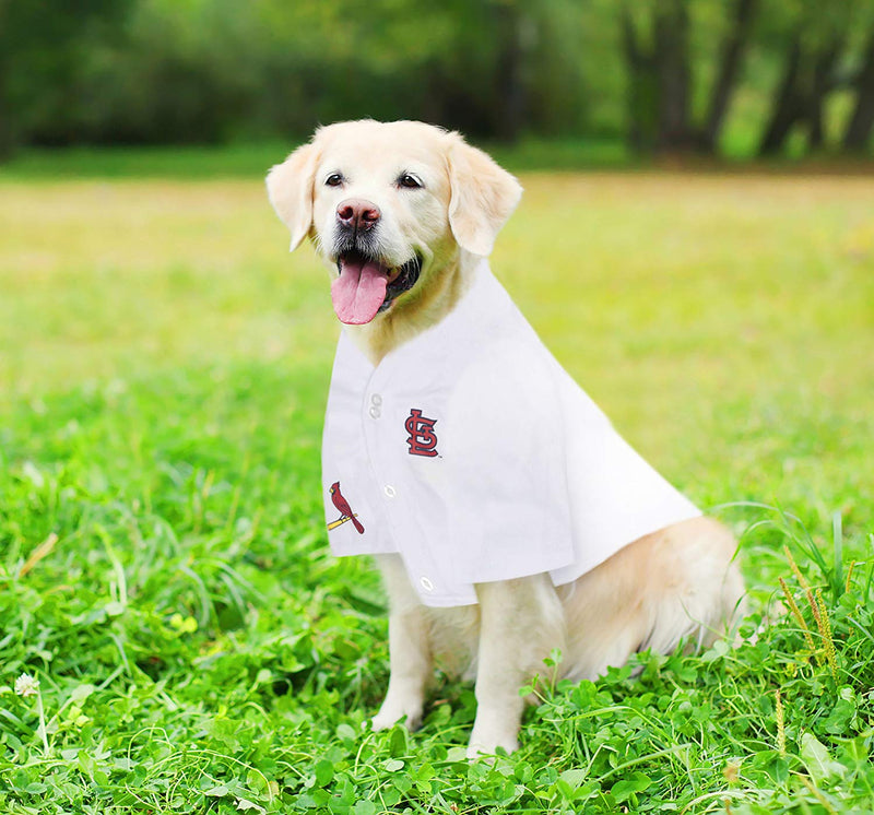 2023 MLB Dog friendly baseball games schedule, bark park, pup park, pet park