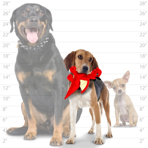 Mighty Dragon Series - Blue Dragon Tough Toy