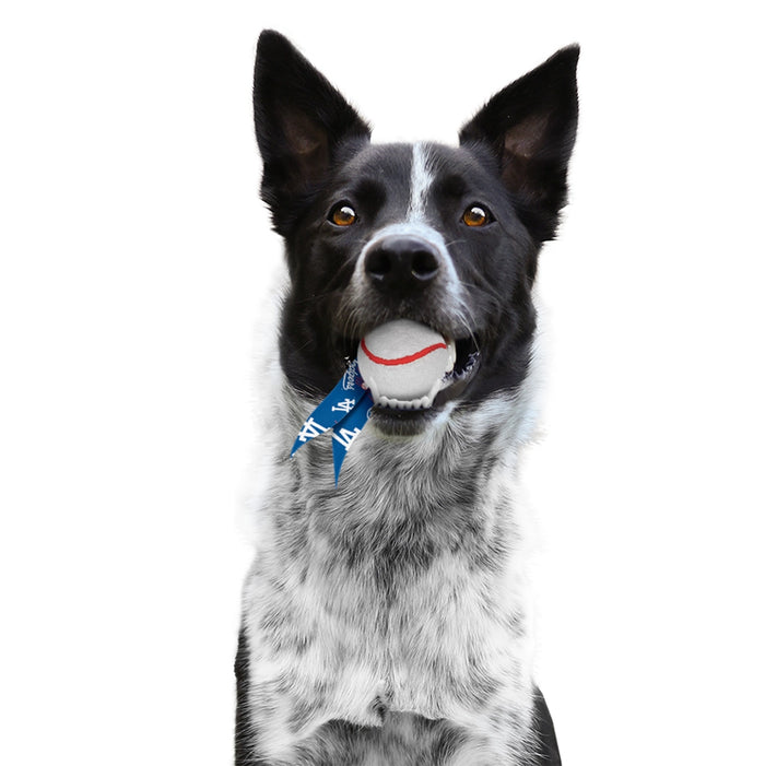 Los Angeles Dodgers Pet Ball Launcher Toy