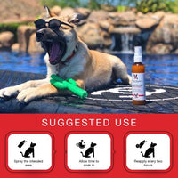 Dog Sunscreen with Aloe Vera Moisturizer 4 oz