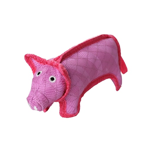 Tough pig dog clearance toy