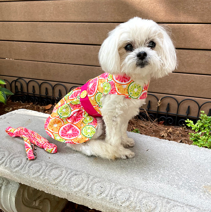 Citrus Slice Harness Dress with Leash