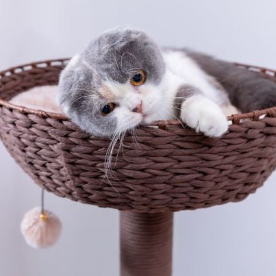 Boho 2024 cat tree