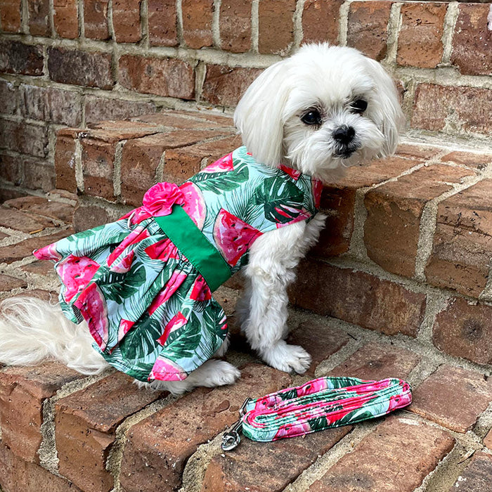 Juicy Watermelon Harness Dress with Leash