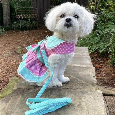 Pink and Teal Polka Dot and Lace Harness Dress with Leash
