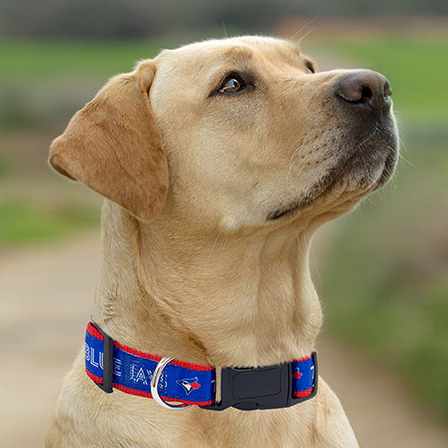 Toronto Blue Jays Dog Satin Collar or Leash