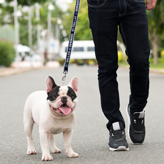 Houston Astros Satin Dog Collar or Leash