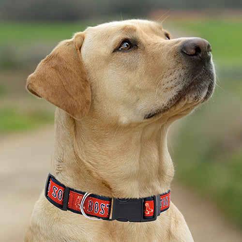 Boston Red Sox Dog Satin Collar or Leash