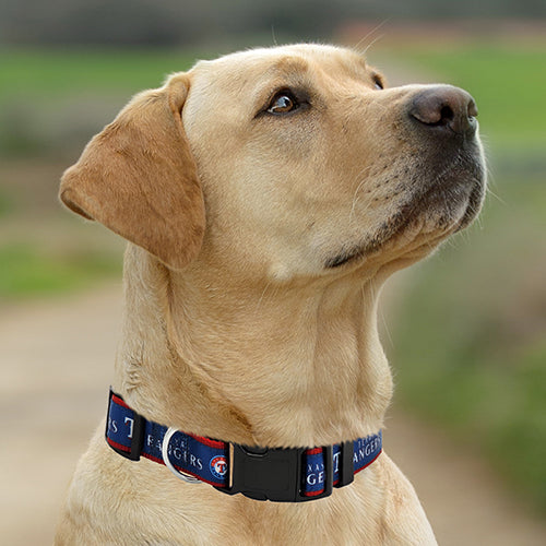 Texas Rangers Dog Satin Collar or Leash