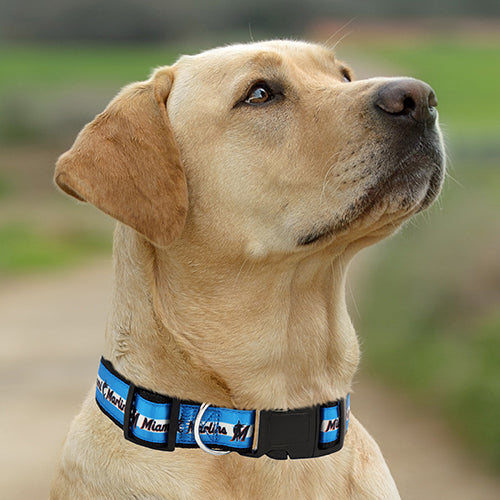 Miami Marlins Dog Satin Collar or Leash