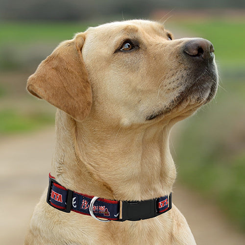 Atlanta Braves Dog Satin Collar or Leash