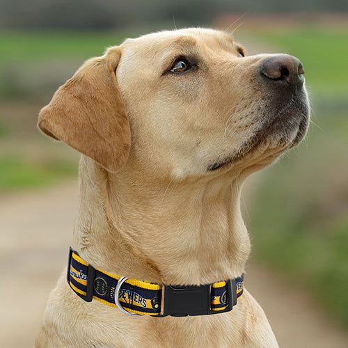 Milwaukee Brewers Dog Satin Collar or Leash