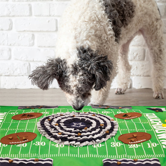 Dallas Cowboys Pet Snuffle Mat