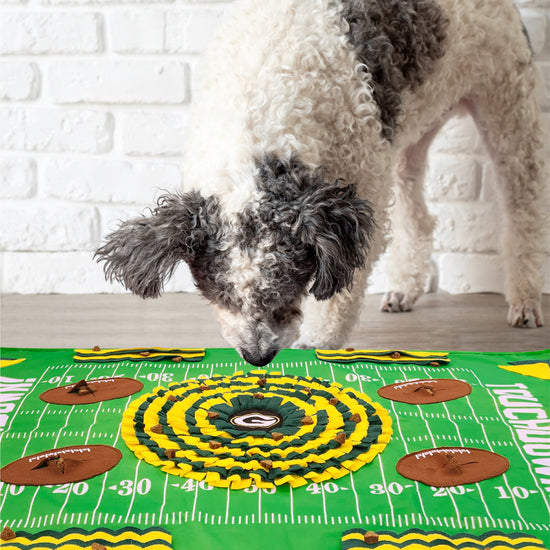 Green Bay Packers Pet Snuffle Mat