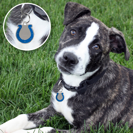 Indianapolis Colts Pet ID Tag