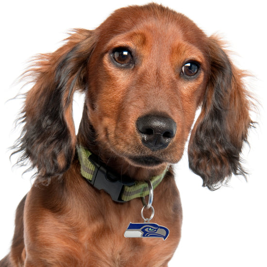 Seattle Seahawks Pet ID Tag