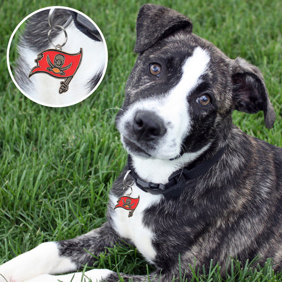 Tampa Bay Buccaneers Pet ID Tag