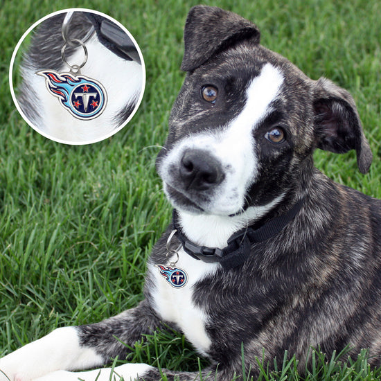 Tennessee Titans Pet ID Tag