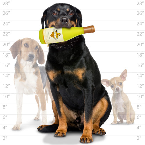 Silly Squeaker - Kennel Relaxin Bottle Toy