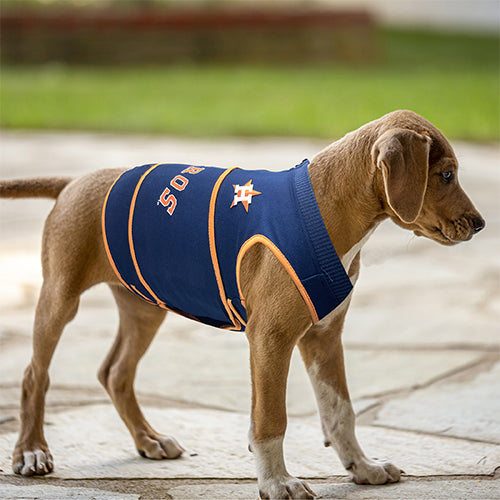Houston Astros Licensed Cat or Dog Jersey 