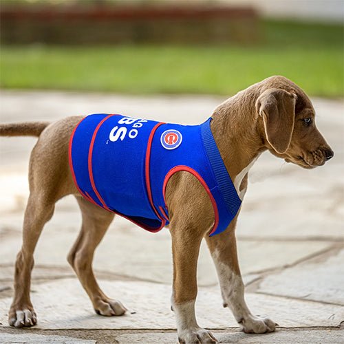 Chicago Cubs Soothing Solution Comfort Vest