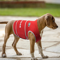 GA Bulldogs Soothing Solution Comfort Vest