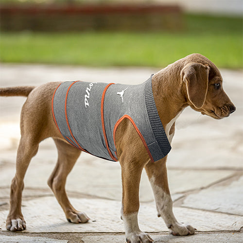 TX Longhorns Soothing Solution Comfort Vest