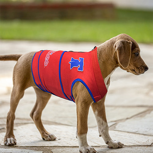 Philadelphia Phillies Soothing Solution Comfort Vest