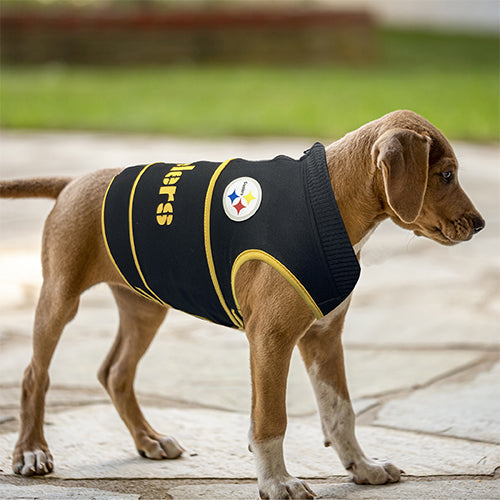 Steelers Dog Sweater 