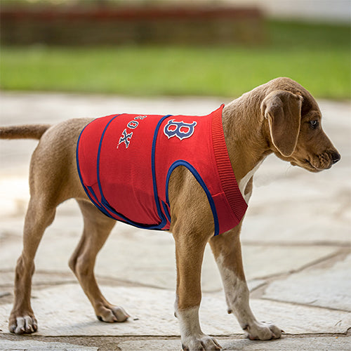 Boston Red Sox Soothing Solution Comfort Vest