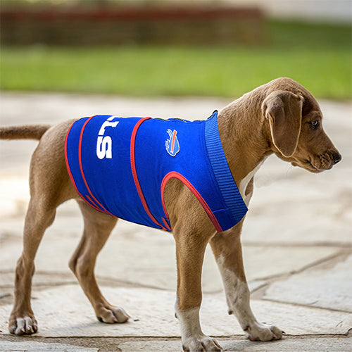 Buffalo Bills Soothing Solution Comfort Vest