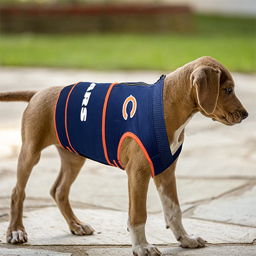 Chicago Bears Soothing Solution Comfort Vest