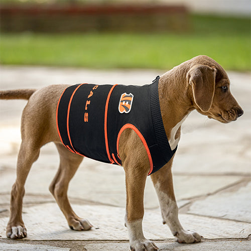 Cincinnati Bengals Soothing Solution Comfort Vest