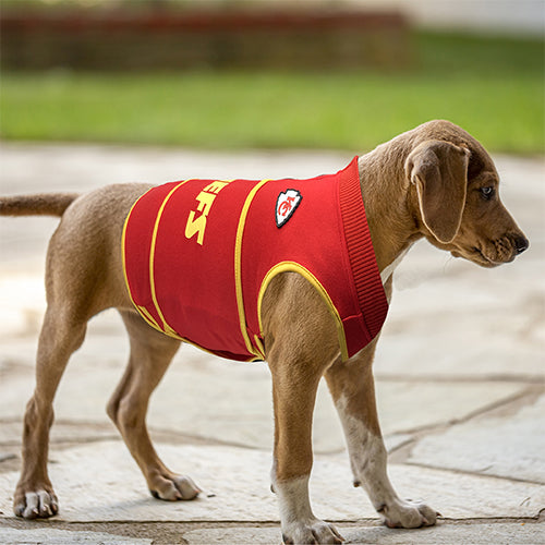 Kansas city clearance chiefs dog jersey