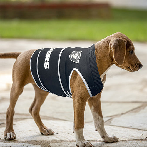 Las Vegas Raiders Running Dog Costume