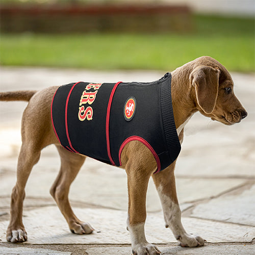  NFL San Francisco 49ers Dog Jersey, Size: XX-Large