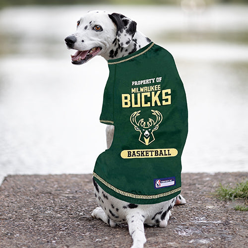 Boston Bruins Dog Jerseys, Bruins Pet Carriers, Harness, Bandanas