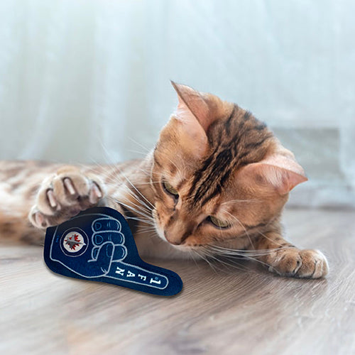 Winnipeg Jets 3 piece Catnip Toy Set