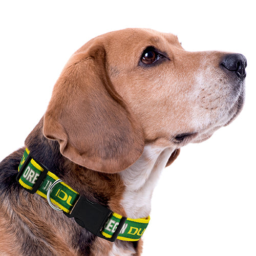 OR Ducks Dog Satin Collar or Leash