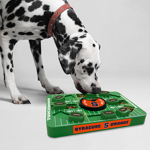 Syracuse Orange Interactive Puzzle Treat Toy - Large