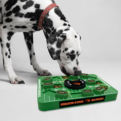 OR State Beavers Interactive Puzzle Treat Toy - Large