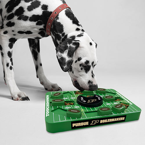 Purdue Boilermakers Interactive Puzzle Treat Toy - Large