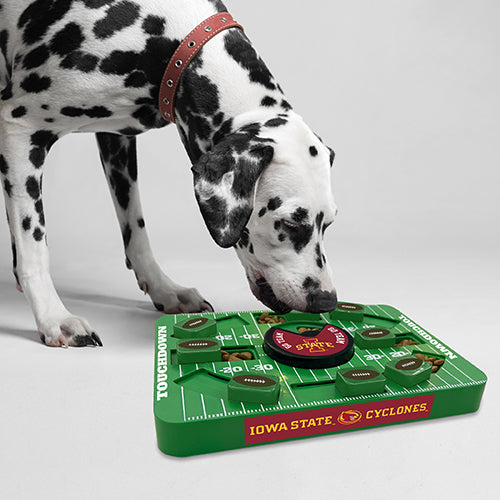 IA State Cyclones Interactive Puzzle Treat Toy - Large