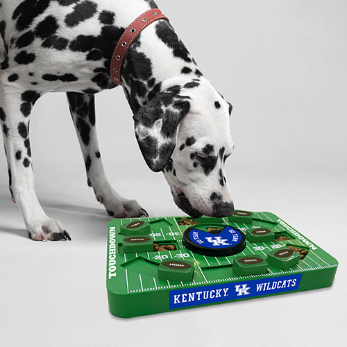KY Wildcats Interactive Puzzle Treat Toy - Large