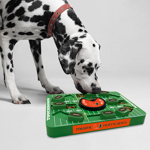 MIA Hurricanes Interactive Puzzle Treat Toy - Large