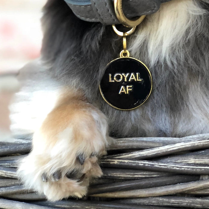 Loyal AF Pet ID Tag - Black