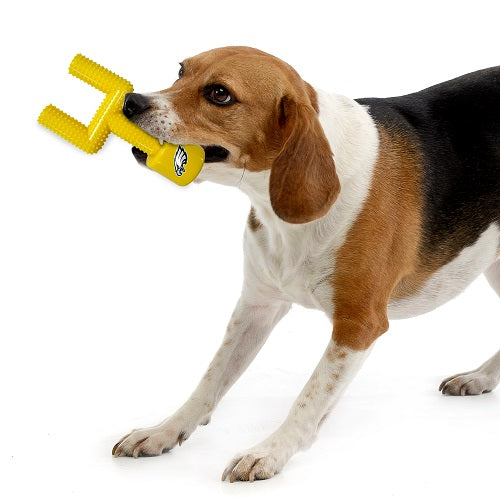 Philadelphia Eagles Nylon Goal Post Chew Toy