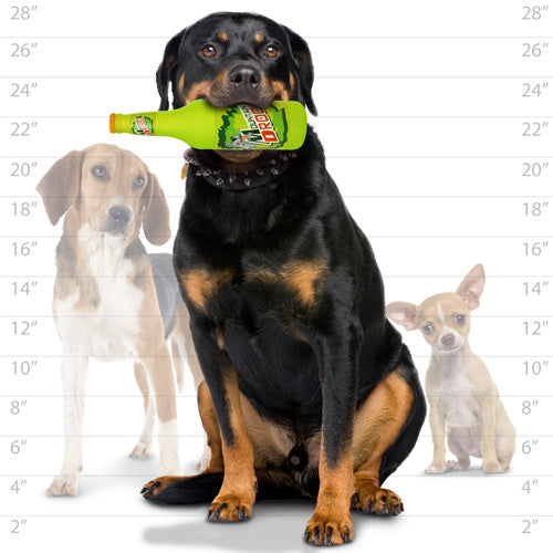 Silly Squeaker - Mountain Drool Bottle Toy