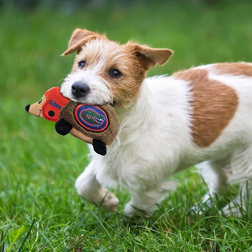 FL Gators Hedgehog Plush Toy